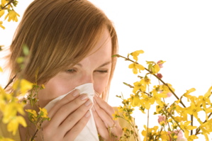 ayurveda allergy treatment